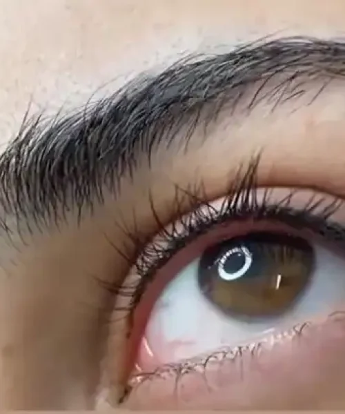 انواع خط چشم، بن مژه و شید چشم ریموو خط چشم