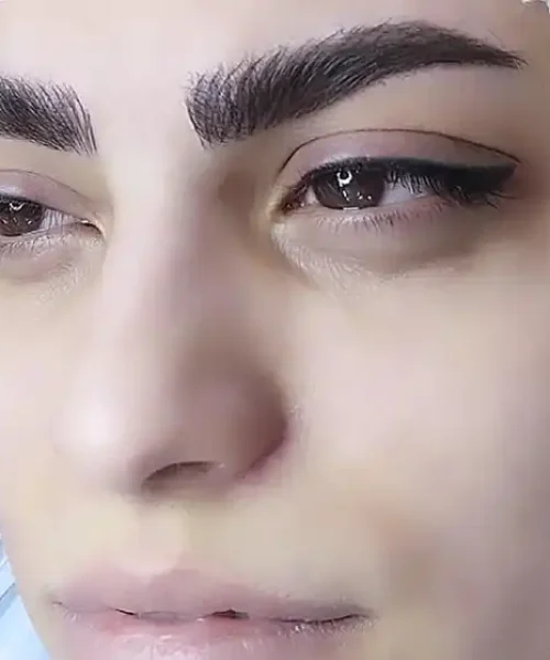 گندم فلاحی